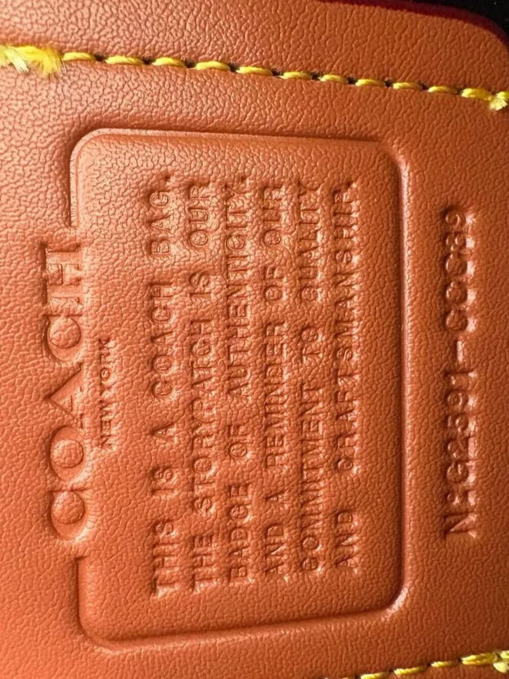 COACH Slouchy Rogue Top Handle Bag